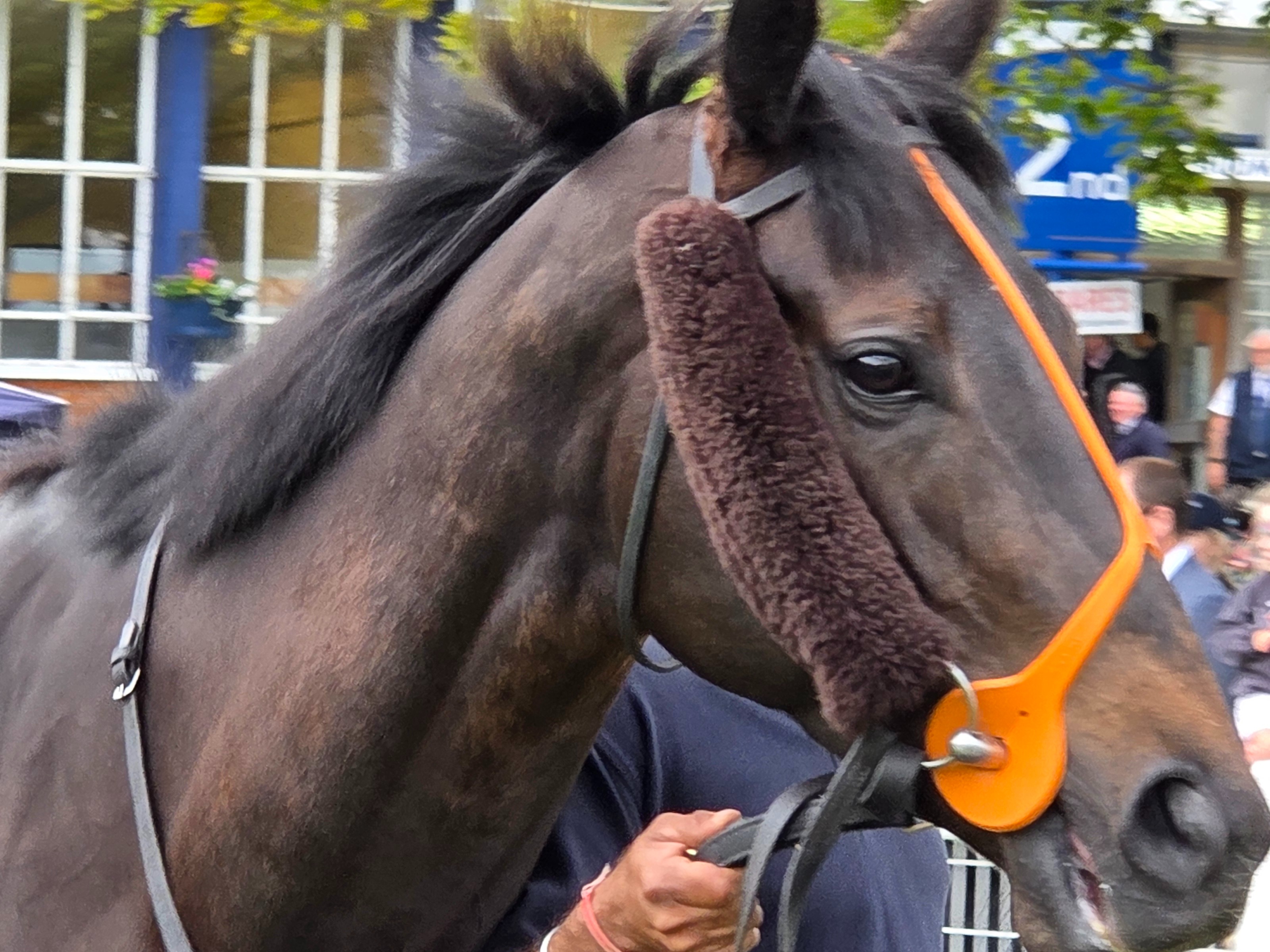 The Coffee Pod Dot Co