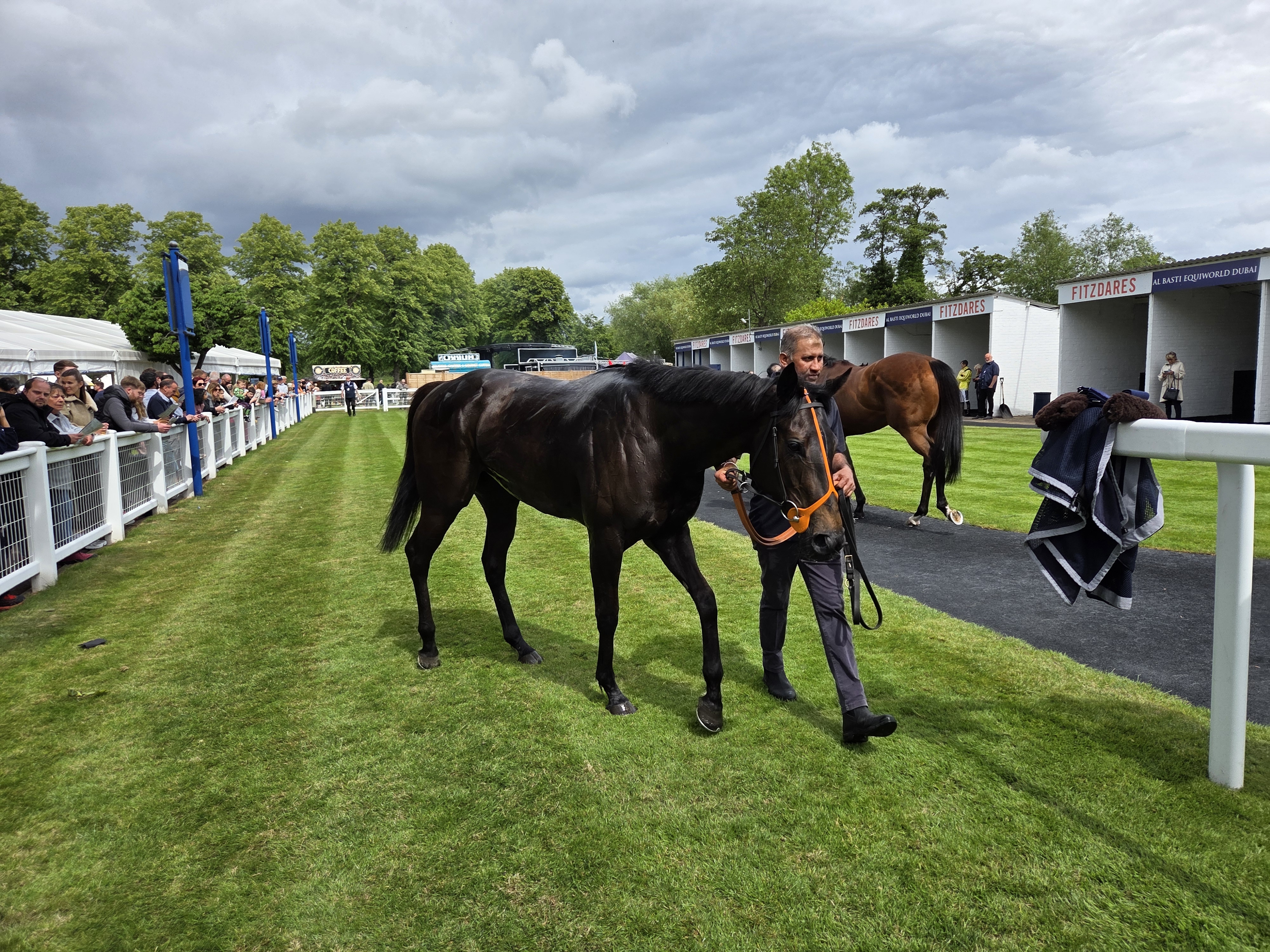 The Coffee Pod Dot Co