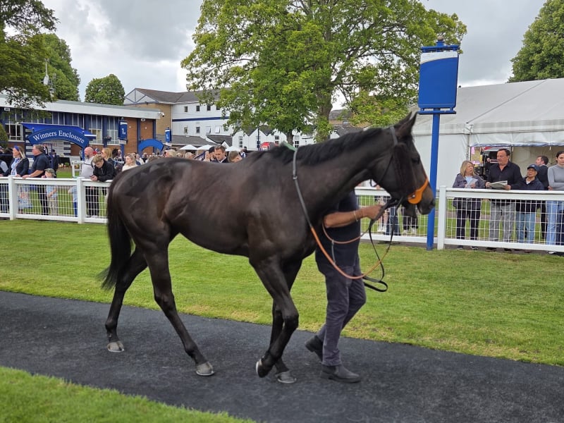 The Coffee Pod Dot Co