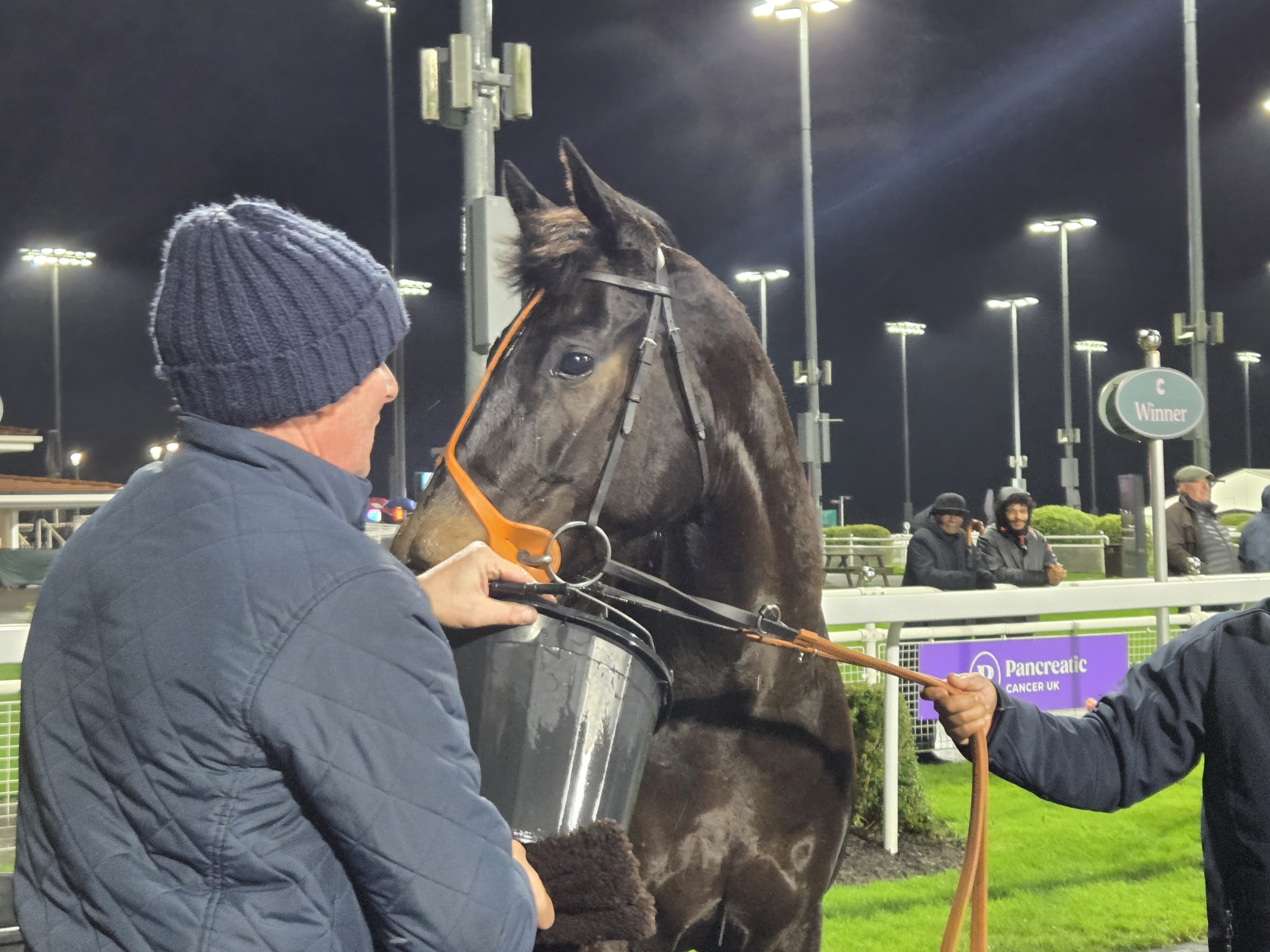 The Coffee Pod Dot Co