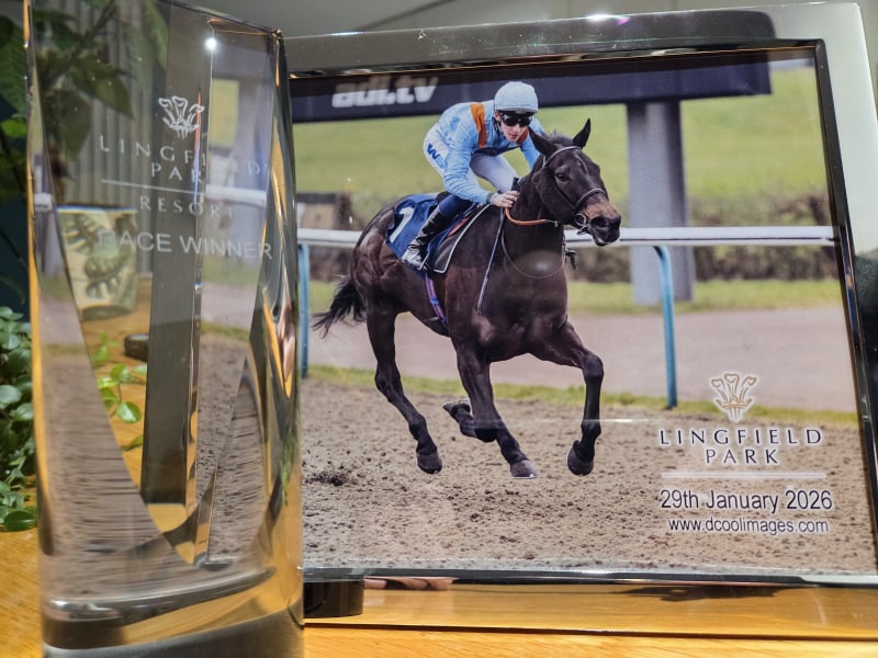 Winner Thecoffeepoddotco