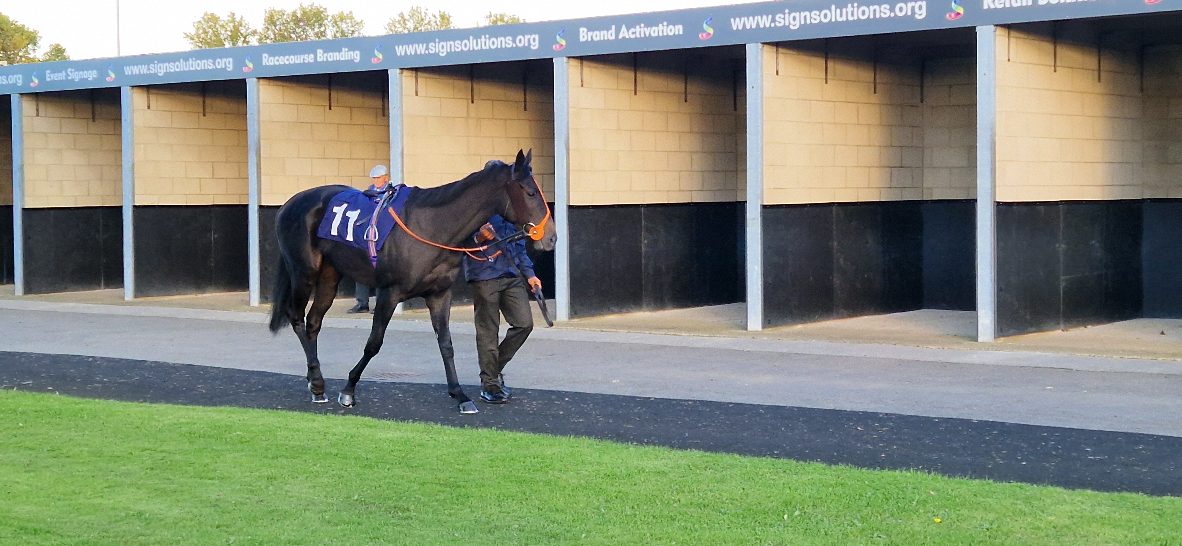 Pre Parade Ring