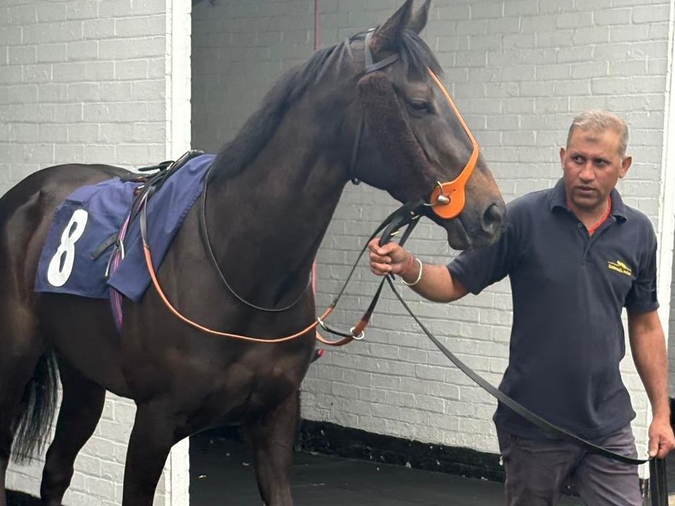 Pre Parade Ring