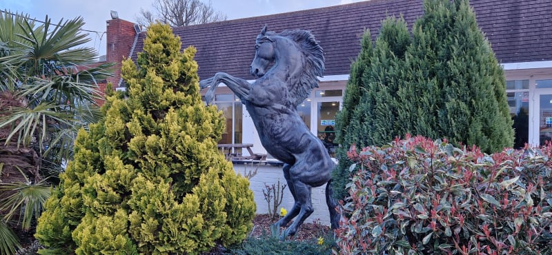 Lingfield Racecourse  