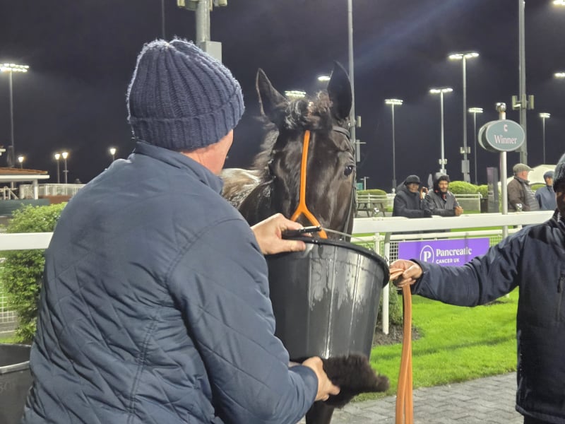 The Coffee Pod Dot Co