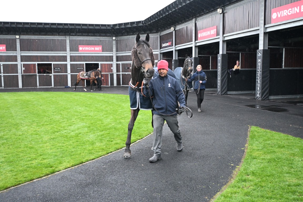 Pre Parade Ring