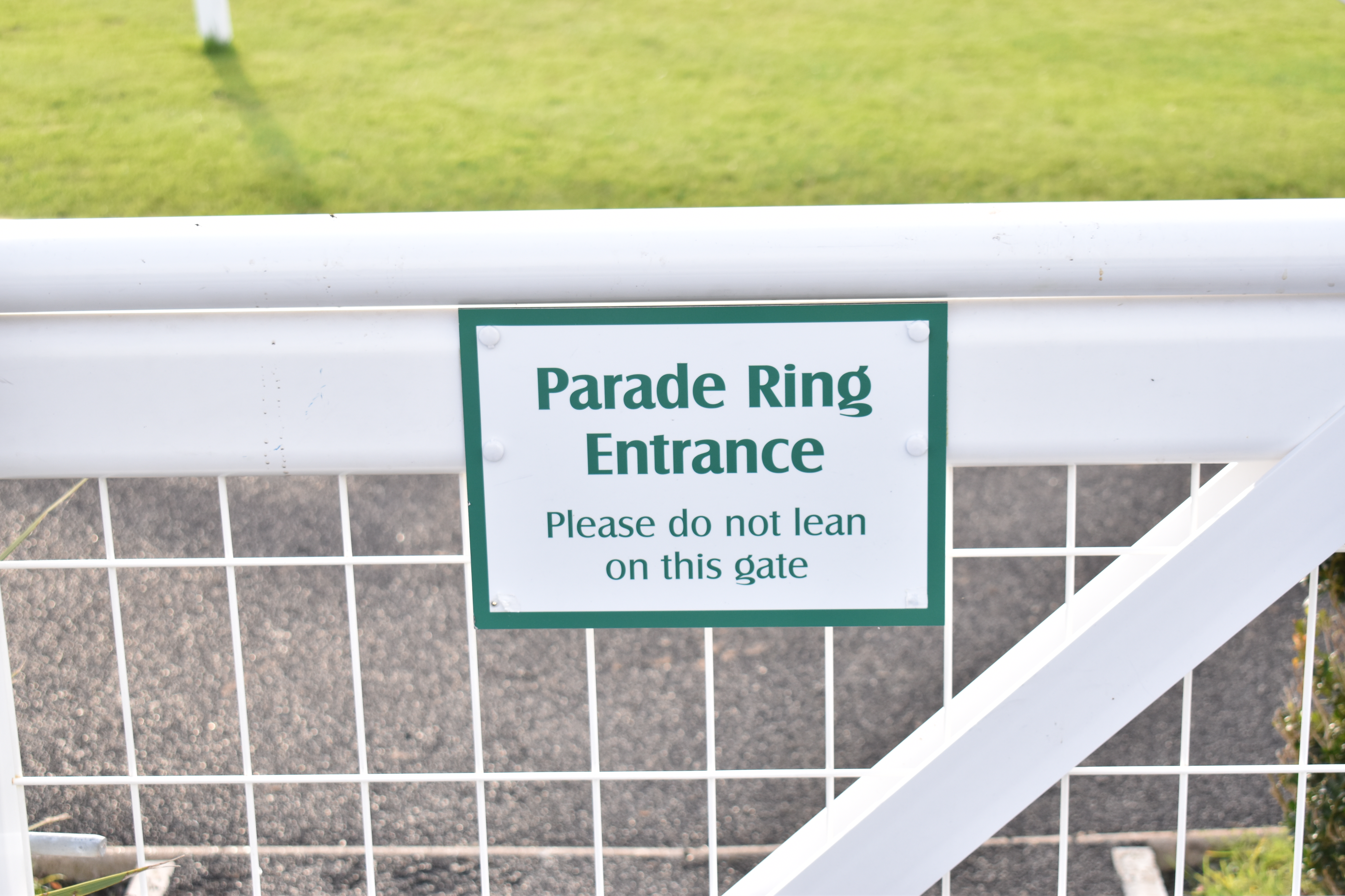 Parade Ring