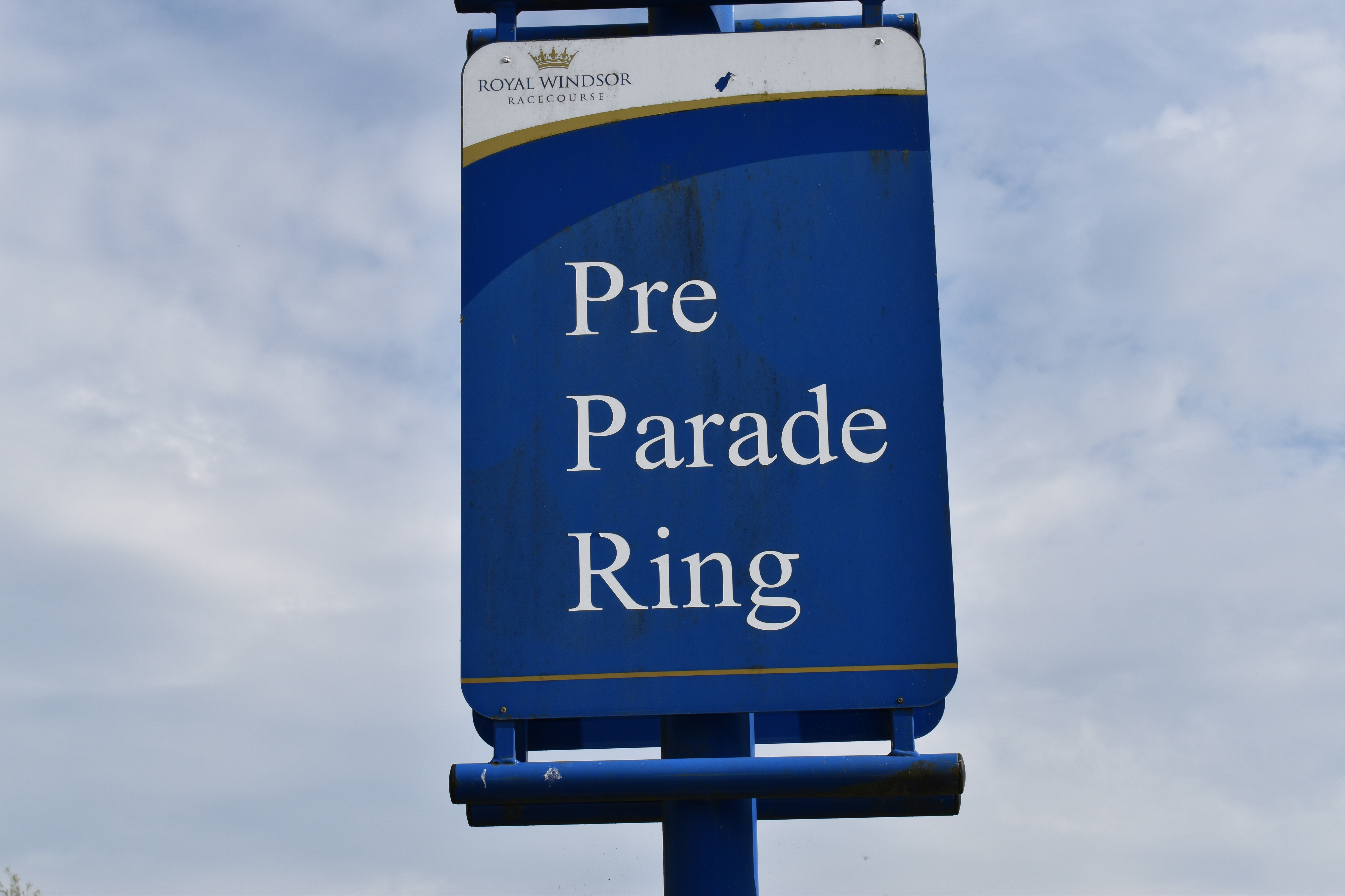 Pre Parade Ring