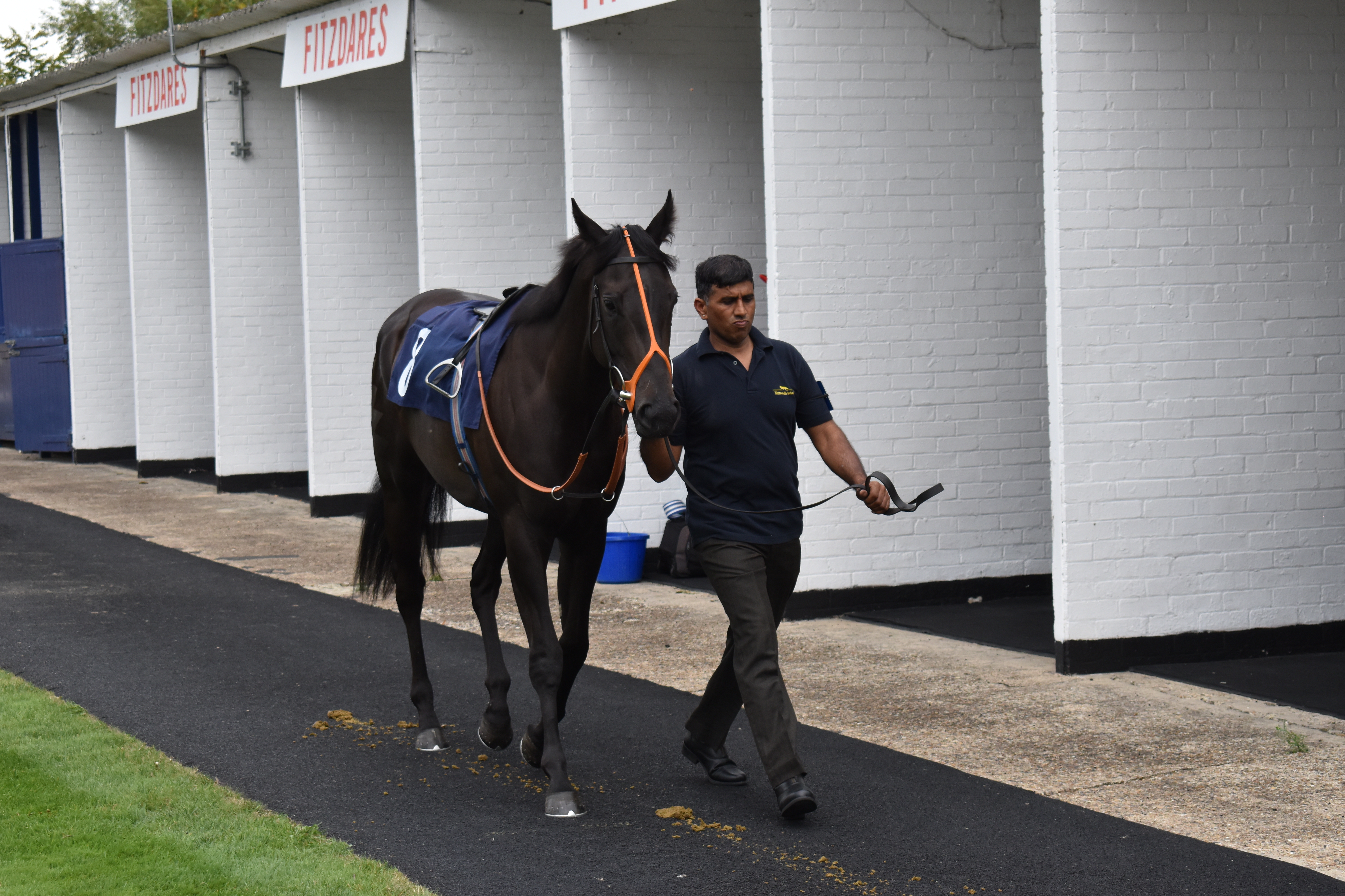 Pre Parade Ring