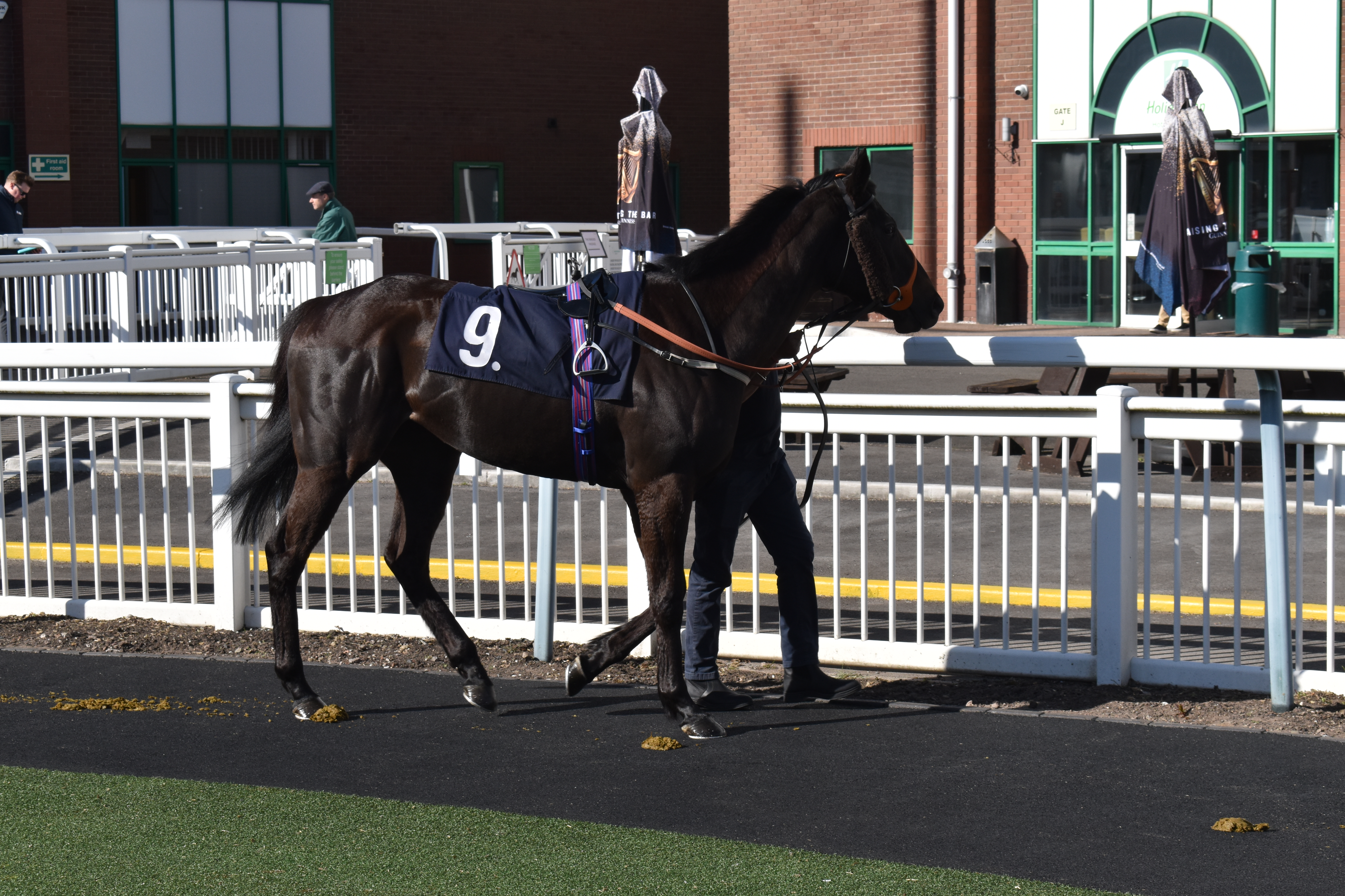 Parade Ring