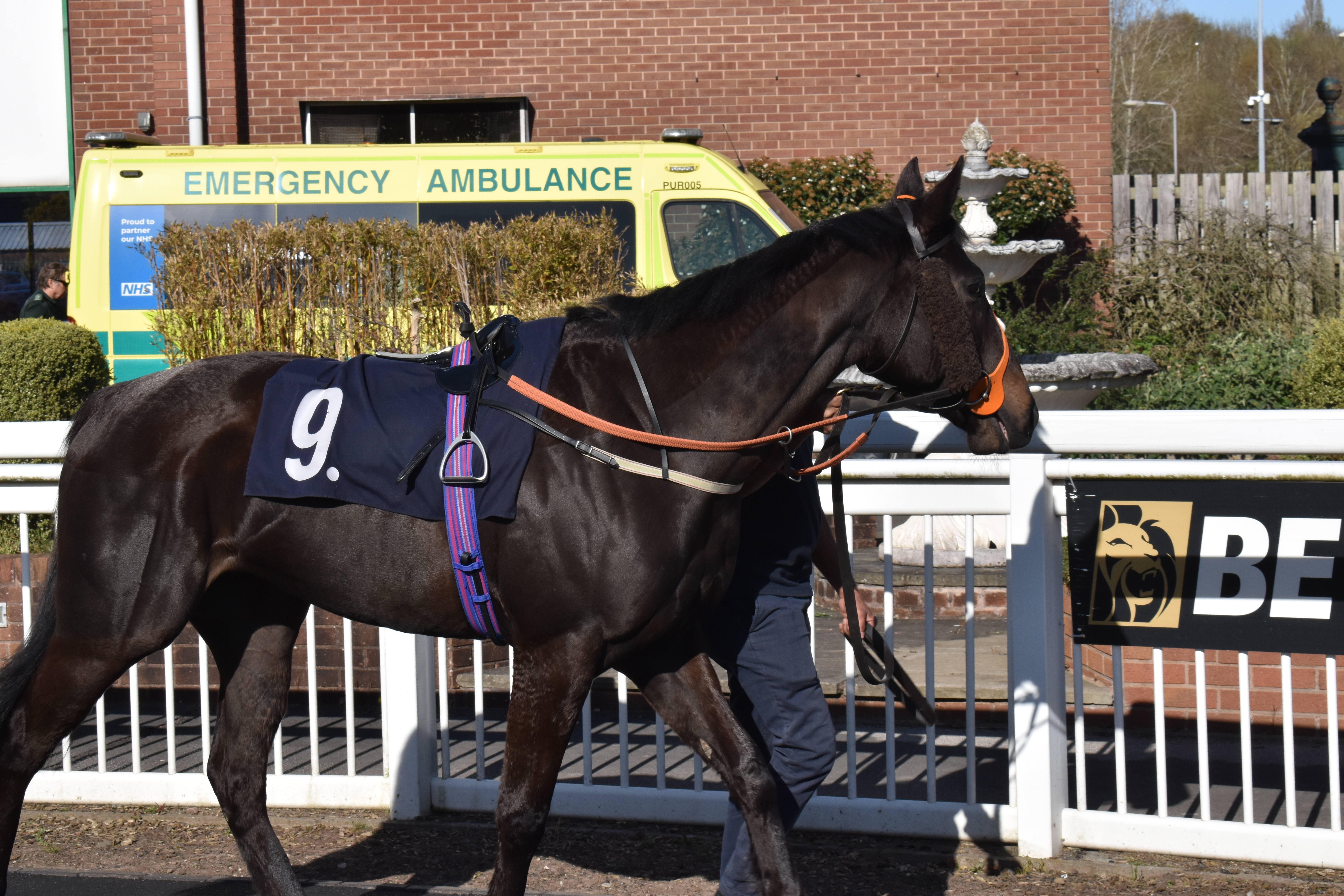  Parade Ring