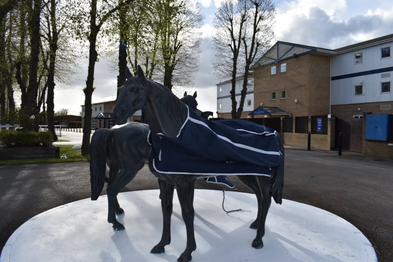 Windsor Horses