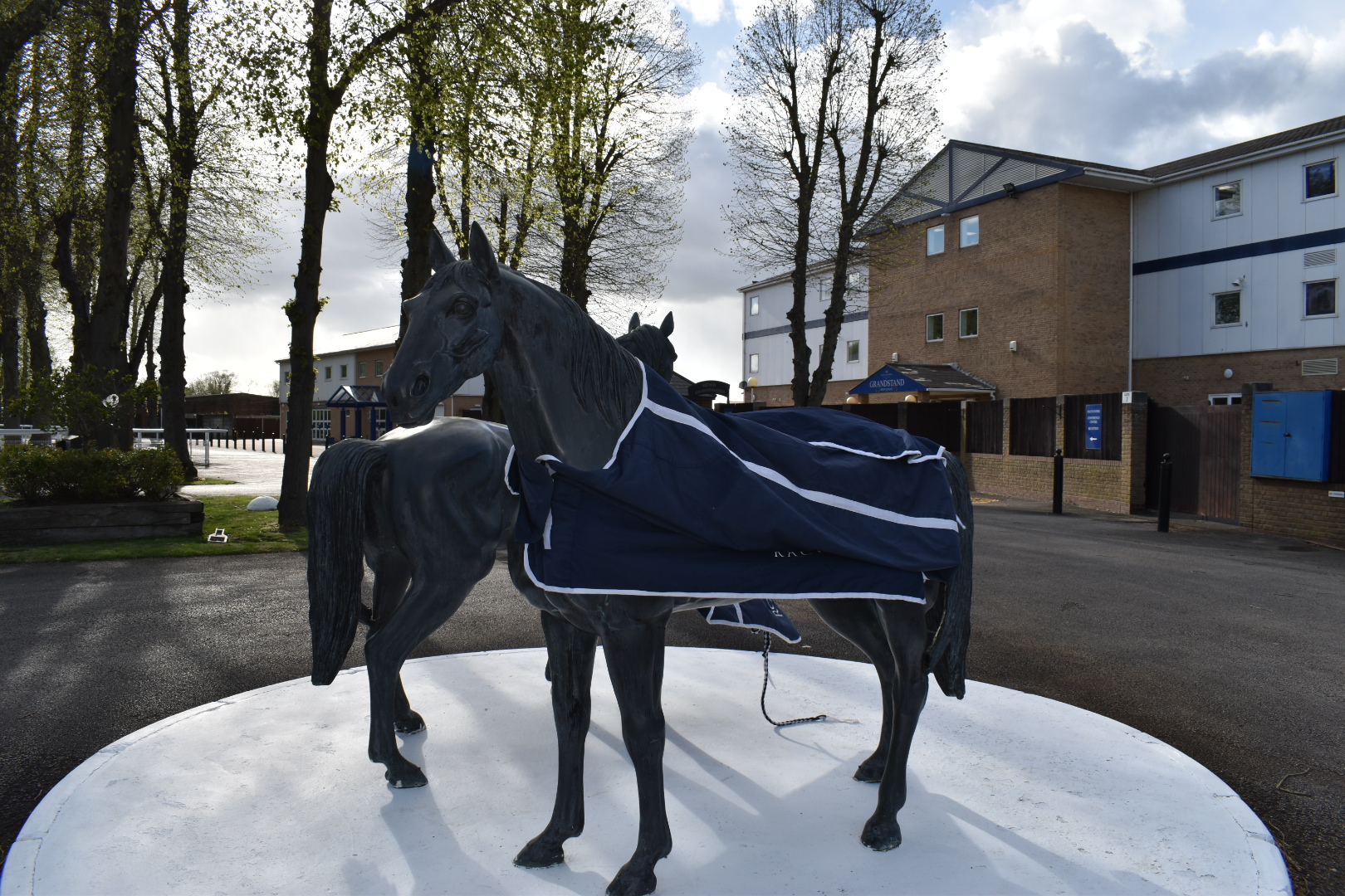 Windsor Horses