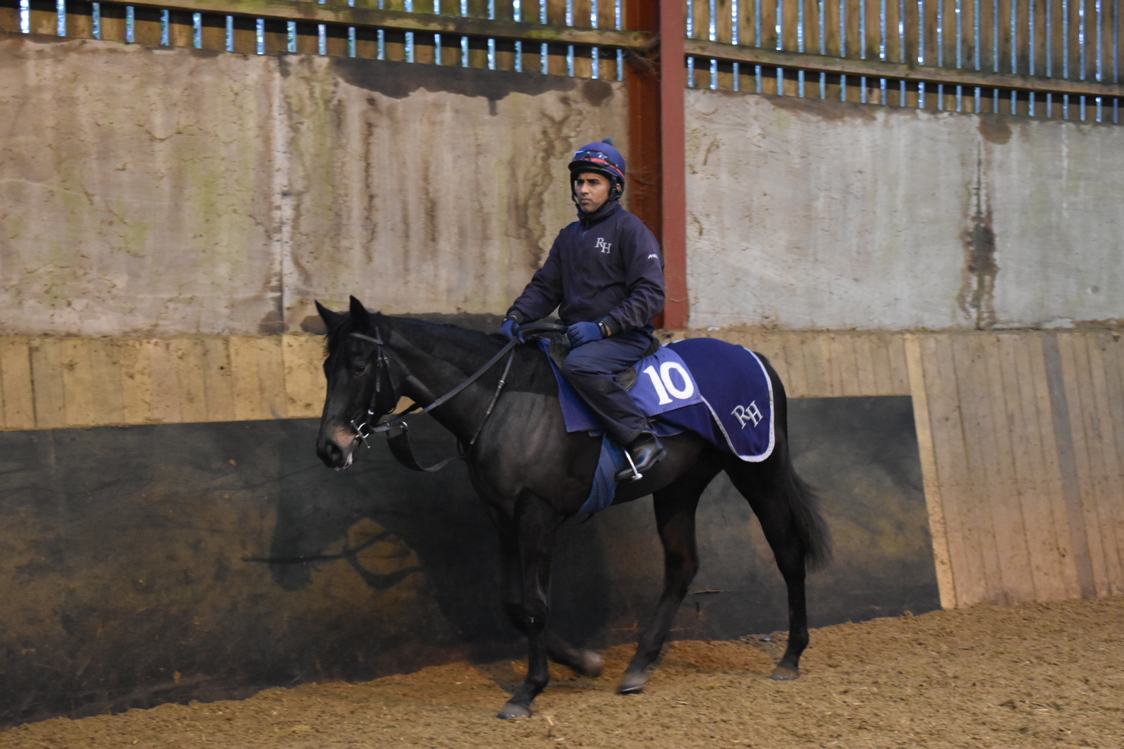 Stables Visit December 2023