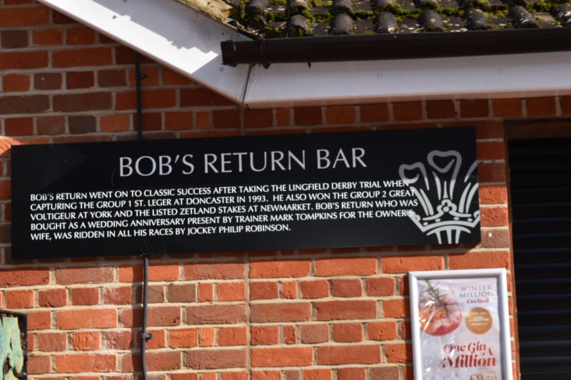 Lingfield Park Horses