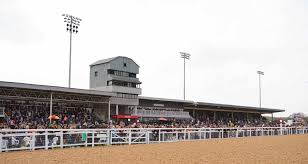 Richard Hannon Trainer