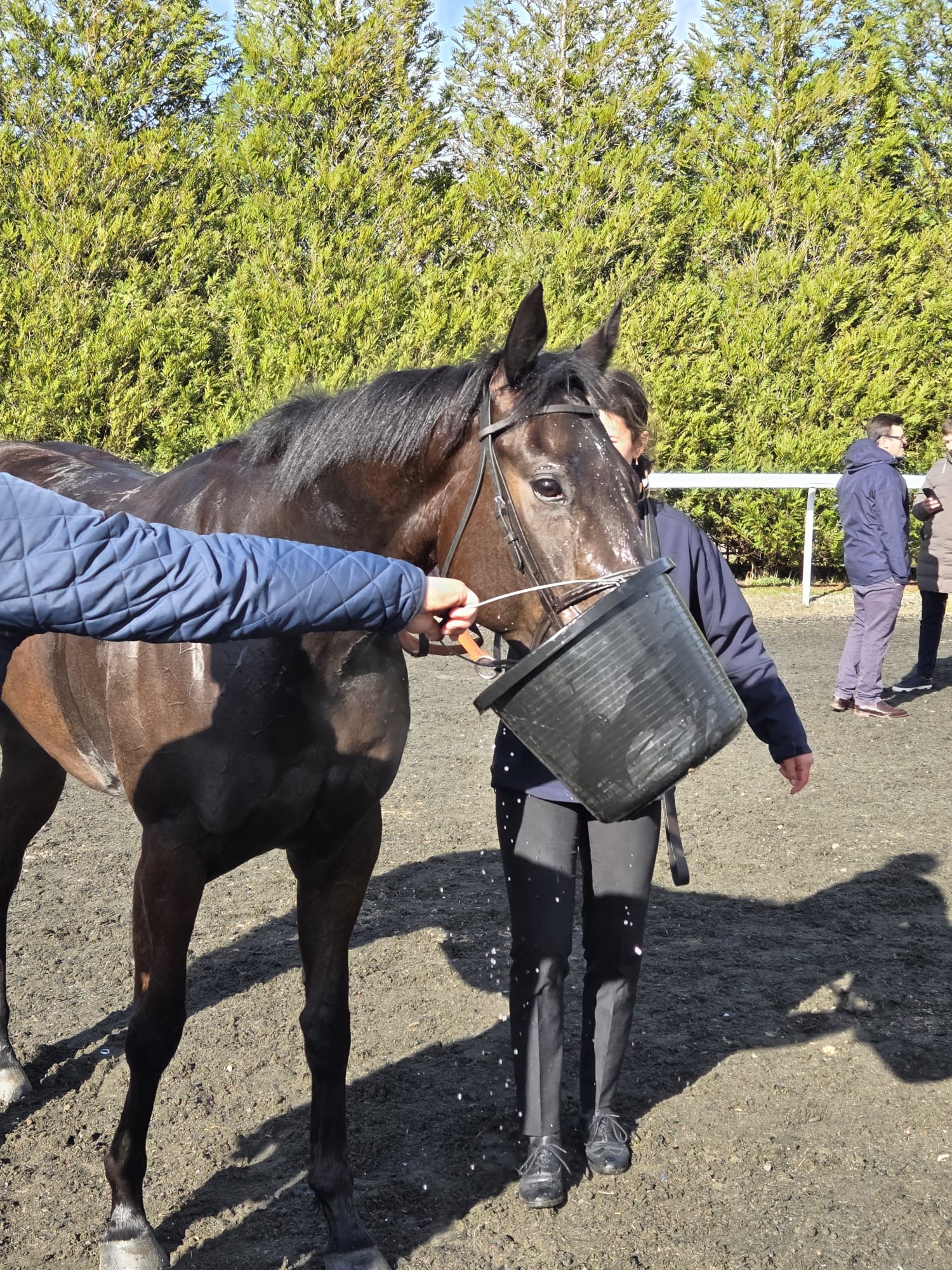 The Coffee Pod Dot Co