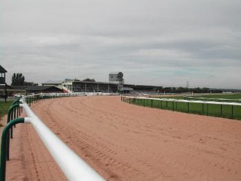 The Track