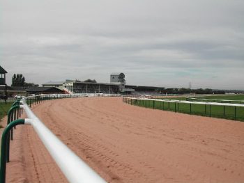 The Track
